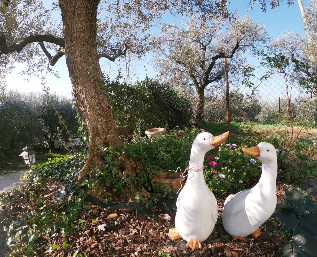 Agriturismo B&B Le Casette Sul Garda Cavaion Veronese Dış mekan fotoğraf